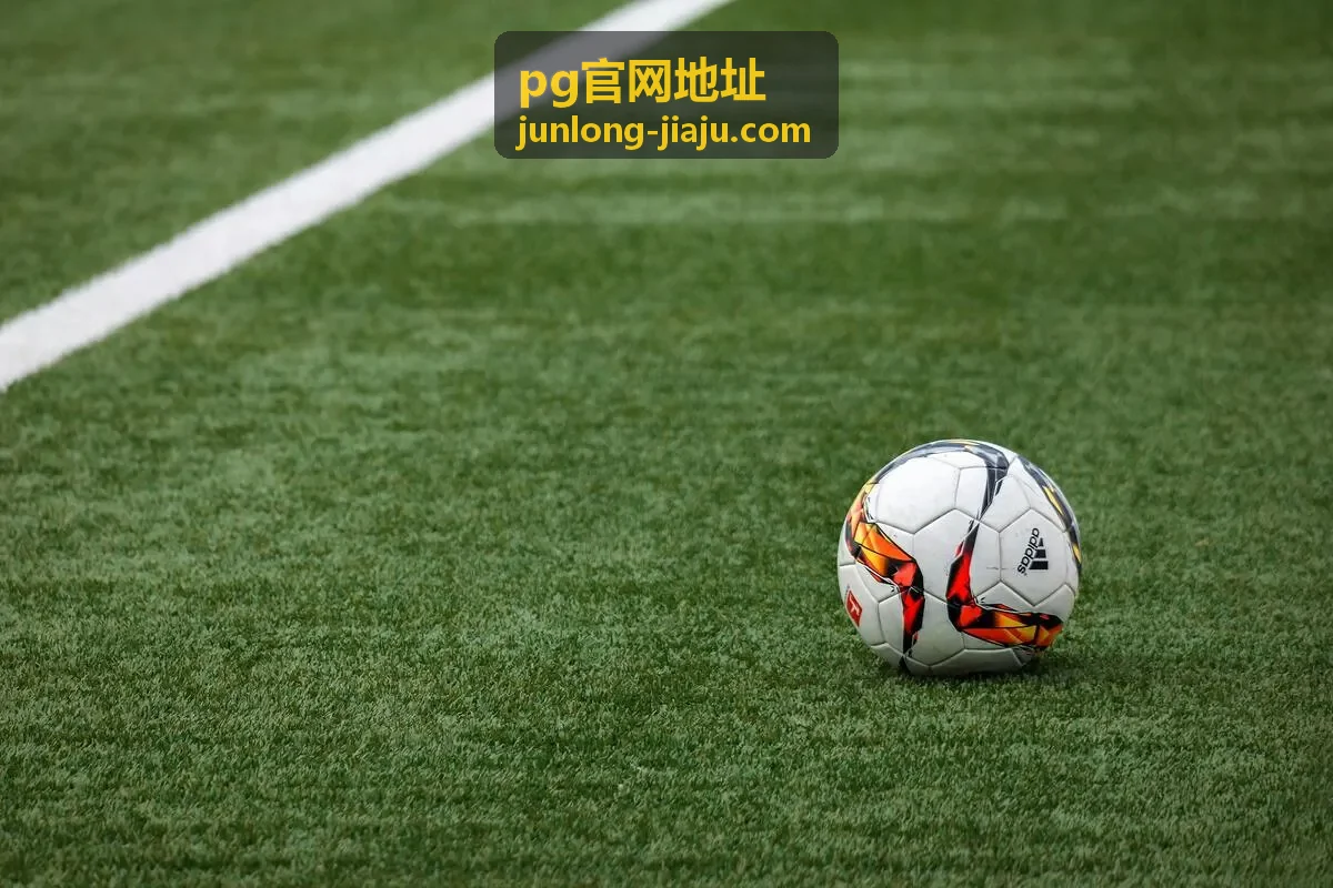 pg官网地址入口地址核对时查看页面顶部名称与主题